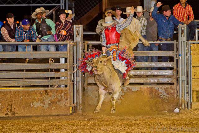 Tejas Rodeo Co